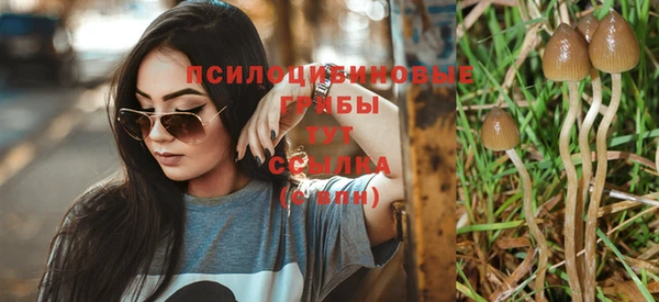 спиды Аша