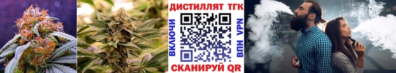 Дистиллят ТГК THC oil  маркетплейс какой сайт  Гудермес  OMG  