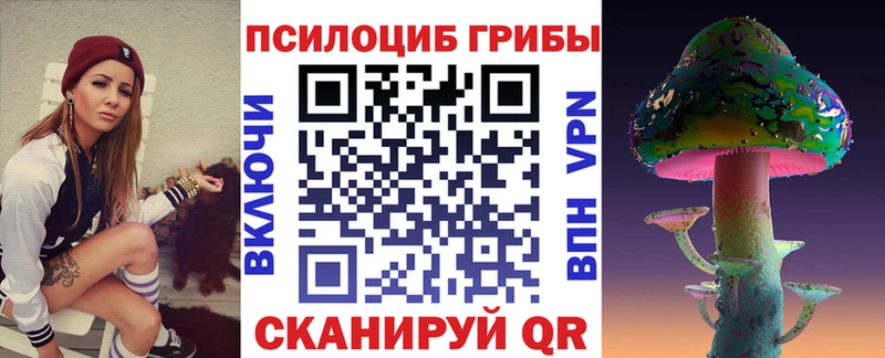 Галлюциногенные грибы Magic Shrooms  хочу наркоту  mega рабочий сайт  Гудермес 