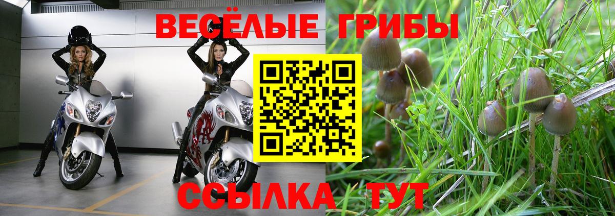 Гудермес  Вход с VPN  Бошки Шишки  COCAIN  Мефедрон кристаллы  Гашиш 