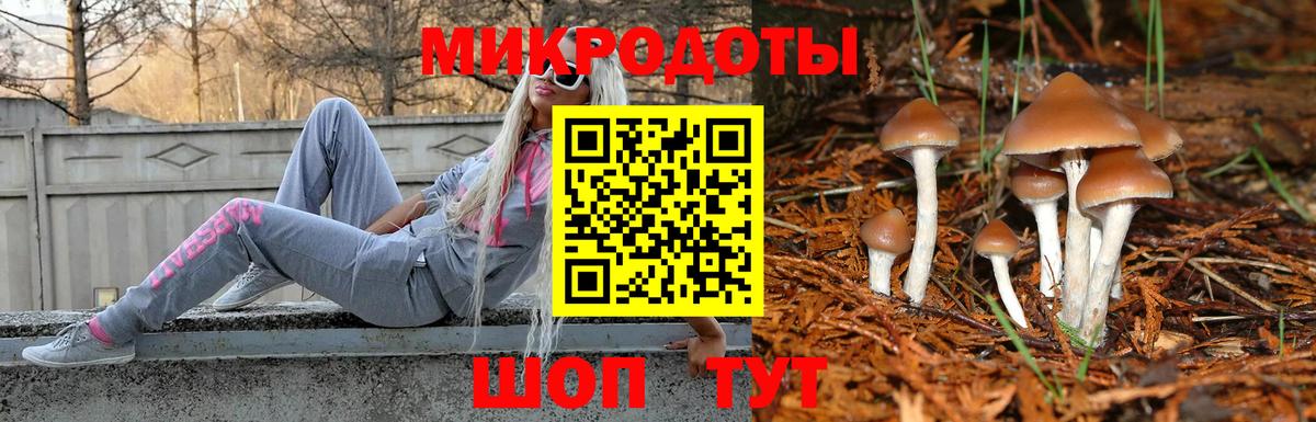 Гудермес  Псилоцибиновые грибы мицелий  Вход с VPN  где можно купить наркотик  Псилоцибиновые грибы ЛСД 