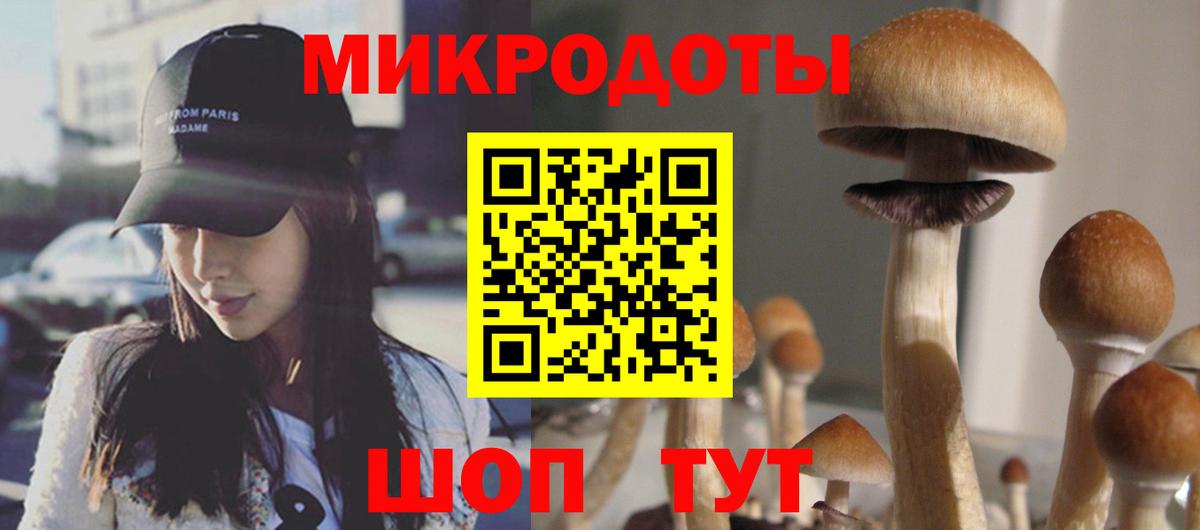 Галлюциногенные грибы MAGIC MUSHROOMS Гудермес